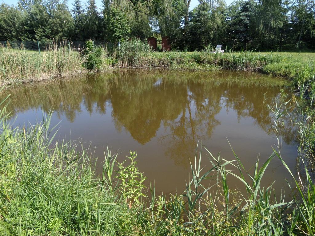 הוילה מארנגובו Agroturystyka Pod Podkowa מראה חיצוני תמונה